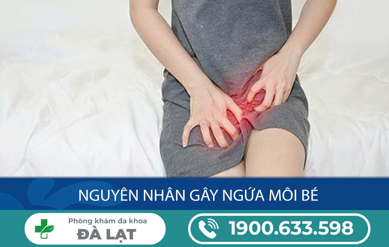 Giải Pháp An Toàn Và Hiệu Quả Cho Các Vấn Đề Ngứa Phụ Khoa  - Phòng Khám Đa Khoa Đà Lạt